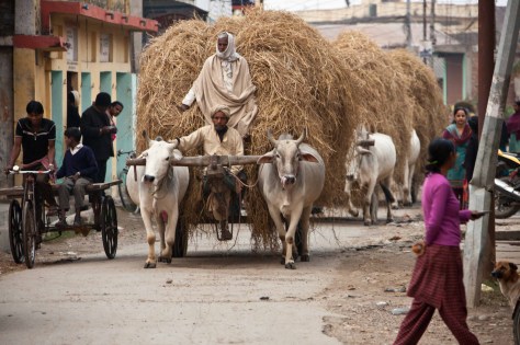 Janakpur Traffic Jam