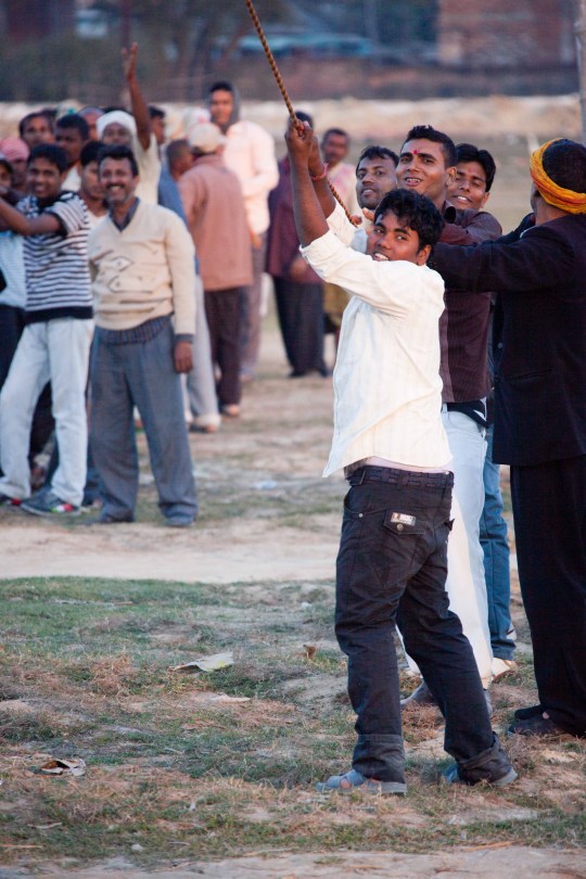 The Teams pulling down the tree