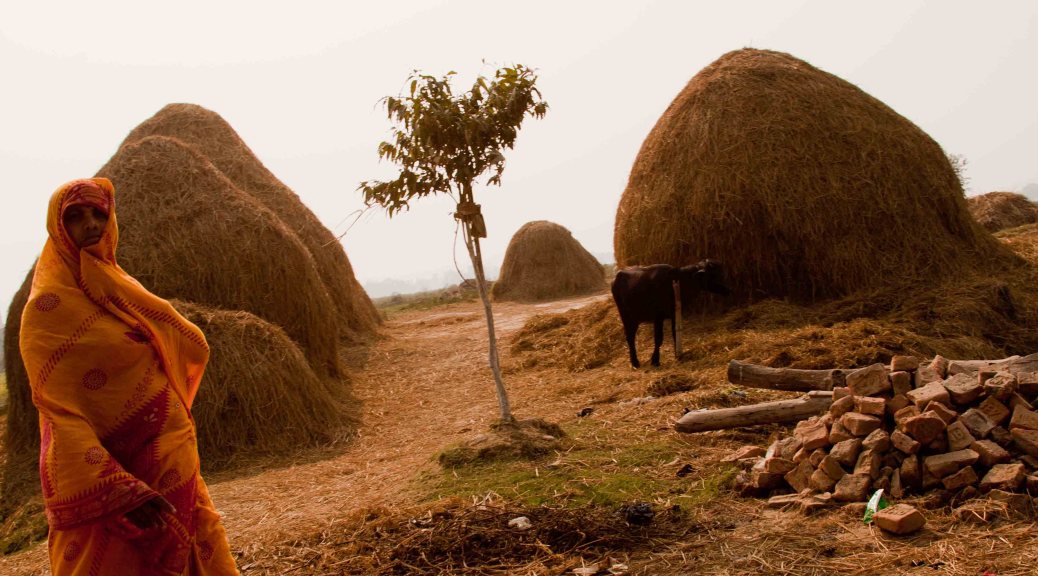 Rural Woman: Dhanusha