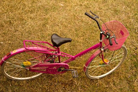 The famous Pink Bike