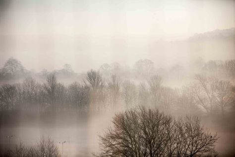 2013-03EndofMarchBlog-4272