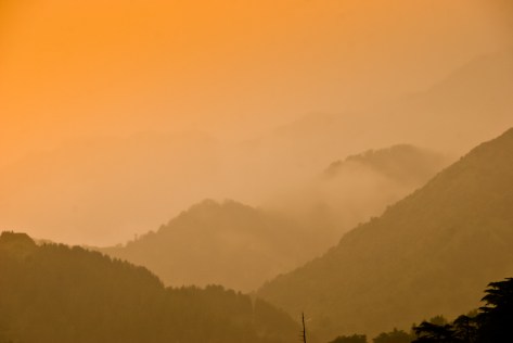 2010MacleodGanj-5783